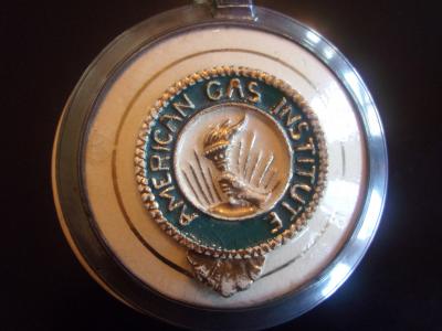 American Gas Institute Stein